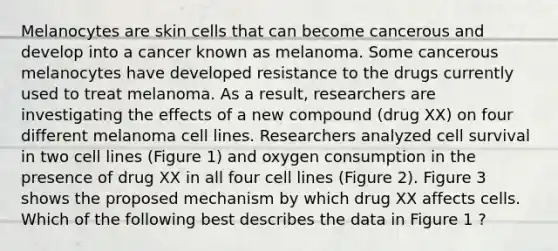 Melanocytes are skin cells that can become cancerous and develop into a cancer known as melanoma. Some cancerous melanocytes have developed resistance to the drugs currently used to treat melanoma. As a result, researchers are investigating the effects of a new compound (drug XX) on four different melanoma cell lines. Researchers analyzed cell survival in two cell lines (Figure 1) and oxygen consumption in the presence of drug XX in all four cell lines (Figure 2). Figure 3 shows the proposed mechanism by which drug XX affects cells. Which of the following best describes the data in Figure 1 ?