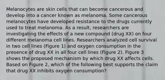 Melanocytes are skin cells that can become cancerous and develop into a cancer known as melanoma. Some cancerous melanocytes have developed resistance to the drugs currently used to treat melanoma. As a result, researchers are investigating the effects of a new compound (drug XX) on four different melanoma cell lines. Researchers analyzed cell survival in two cell lines (Figure 1) and oxygen consumption in the presence of drug XX in all four cell lines (Figure 2). Figure 3 shows the proposed mechanism by which drug XX affects cells. Based on Figure 2, which of the following best supports the claim that drug XX inhibits oxygen consumption?