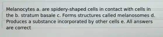 Melanocytes a. are spidery-shaped cells in contact with cells in the b. stratum basale c. Forms structures called melanosomes d. Produces a substance incorporated by other cells e. All answers are correct