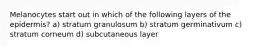 Melanocytes start out in which of the following layers of the epidermis? a) stratum granulosum b) stratum germinativum c) stratum corneum d) subcutaneous layer