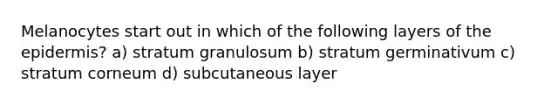 Melanocytes start out in which of the following layers of the epidermis? a) stratum granulosum b) stratum germinativum c) stratum corneum d) subcutaneous layer