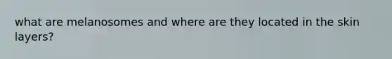 what are melanosomes and where are they located in the skin layers?