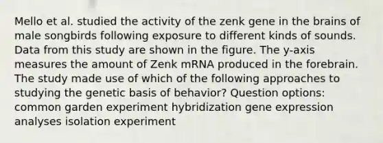 Mello et al. studied the activity of the zenk gene in the brains of male songbirds following exposure to different kinds of sounds. Data from this study are shown in the figure. The y-axis measures the amount of Zenk mRNA produced in the forebrain. The study made use of which of the following approaches to studying the genetic basis of behavior? Question options: common garden experiment hybridization gene expression analyses isolation experiment