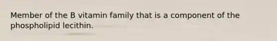 Member of the B vitamin family that is a component of the phospholipid lecithin.