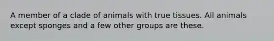 A member of a clade of animals with true tissues. All animals except sponges and a few other groups are these.