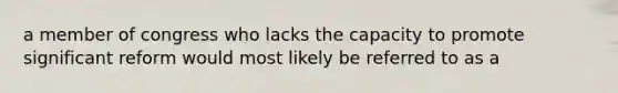 a member of congress who lacks the capacity to promote significant reform would most likely be referred to as a