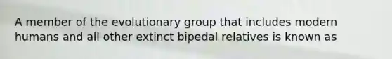 A member of the evolutionary group that includes modern humans and all other extinct bipedal relatives is known as