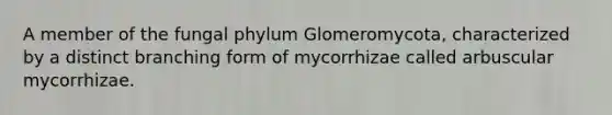 A member of the fungal phylum Glomeromycota, characterized by a distinct branching form of mycorrhizae called arbuscular mycorrhizae.