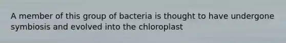 A member of this group of bacteria is thought to have undergone symbiosis and evolved into the chloroplast