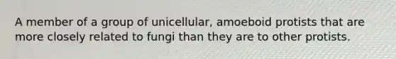 A member of a group of unicellular, amoeboid protists that are more closely related to fungi than they are to other protists.