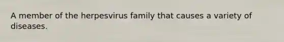 A member of the herpesvirus family that causes a variety of diseases.