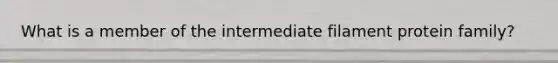 What is a member of the intermediate filament protein family?