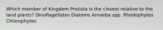 Which member of Kingdom Protista is the closest relative to the land plants? Dinoflagellates Diatoms Amoeba spp. Rhodophytes Chlorophytes