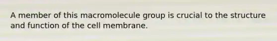 A member of this macromolecule group is crucial to the structure and function of the cell membrane.