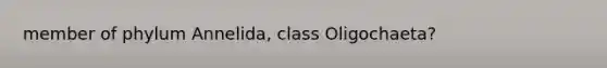 member of phylum Annelida, class Oligochaeta?