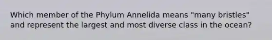 Which member of the Phylum Annelida means "many bristles" and represent the largest and most diverse class in the ocean?