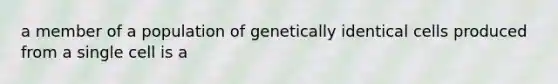 a member of a population of genetically identical cells produced from a single cell is a