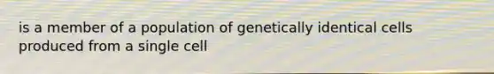 is a member of a population of genetically identical cells produced from a single cell