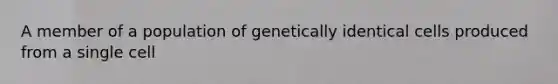 A member of a population of genetically identical cells produced from a single cell