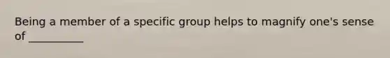 Being a member of a specific group helps to magnify one's sense of __________