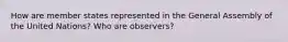 How are member states represented in the General Assembly of the United Nations? Who are observers?