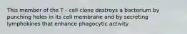 This member of the T - cell clone destroys a bacterium by punching holes in its cell membrane and by secreting lymphokines that enhance phagocytic activity .