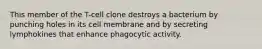 This member of the T-cell clone destroys a bacterium by punching holes in its cell membrane and by secreting lymphokines that enhance phagocytic activity.