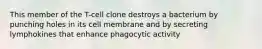 This member of the T-cell clone destroys a bacterium by punching holes in its cell membrane and by secreting lymphokines that enhance phagocytic activity