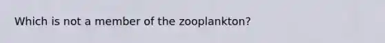 Which is not a member of the zooplankton?