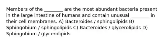 Members of the ________ are the most abundant bacteria present in the <a href='https://www.questionai.com/knowledge/kGQjby07OK-large-intestine' class='anchor-knowledge'>large intestine</a> of humans and contain unusual ________ in their cell membranes. A) Bacteroides / sphingolipids B) Sphingobium / sphingolipids C) Bacteroides / glycerolipids D) Sphingobium / glycerolipids