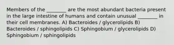 Members of the ________ are the most abundant bacteria present in the large intestine of humans and contain unusual ________ in their cell membranes. A) Bacteroides / glycerolipids B) Bacteroides / sphingolipids C) Sphingobium / glycerolipids D) Sphingobium / sphingolipids