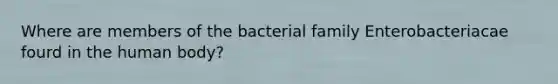 Where are members of the bacterial family Enterobacteriacae fourd in the human body?