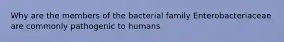 Why are the members of the bacterial family Enterobacteriaceae are commonly pathogenic to humans