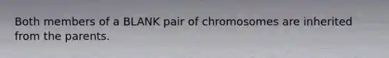 Both members of a BLANK pair of chromosomes are inherited from the parents.