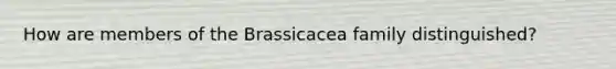 How are members of the Brassicacea family distinguished?