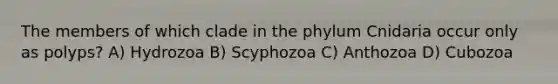 The members of which clade in the phylum Cnidaria occur only as polyps? A) Hydrozoa B) Scyphozoa C) Anthozoa D) Cubozoa