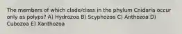 The members of which clade/class in the phylum Cnidaria occur only as polyps? A) Hydrozoa B) Scyphozoa C) Anthozoa D) Cubozoa E) Xanthozoa