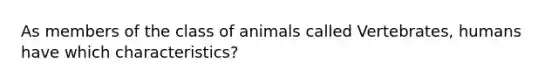 As members of the class of animals called Vertebrates, humans have which characteristics?