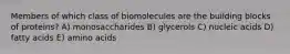 Members of which class of biomolecules are the building blocks of proteins? A) monosaccharides B) glycerols C) nucleic acids D) fatty acids E) amino acids