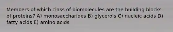 Members of which class of biomolecules are the building blocks of proteins? A) monosaccharides B) glycerols C) nucleic acids D) fatty acids E) amino acids