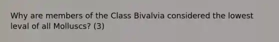 Why are members of the Class Bivalvia considered the lowest leval of all Molluscs? (3)