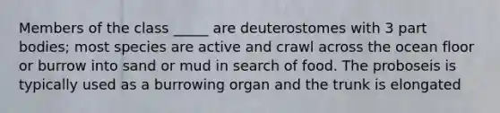 Members of the class _____ are deuterostomes with 3 part bodies; most species are active and crawl across the ocean floor or burrow into sand or mud in search of food. The proboseis is typically used as a burrowing organ and the trunk is elongated