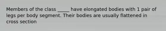 Members of the class _____ have elongated bodies with 1 pair of legs per body segment. Their bodies are usually flattened in cross section