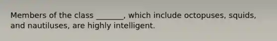 Members of the class _______, which include octopuses, squids, and nautiluses, are highly intelligent.