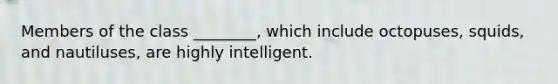 Members of the class ________, which include octopuses, squids, and nautiluses, are highly intelligent.