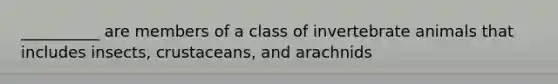 __________ are members of a class of invertebrate animals that includes insects, crustaceans, and arachnids