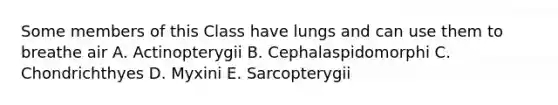 Some members of this Class have lungs and can use them to breathe air A. Actinopterygii B. Cephalaspidomorphi C. Chondrichthyes D. Myxini E. Sarcopterygii