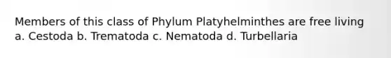 Members of this class of Phylum Platyhelminthes are free living a. Cestoda b. Trematoda c. Nematoda d. Turbellaria