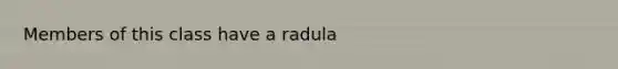 Members of this class have a radula