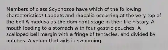 Members of class Scyphozoa have which of the following characteristics? Lappets and rhopalia occurring at the very top of the bell A medusa as the dominant stage in their life history. A mouth leading to a stomach with four gastric pouches. A scalloped bell margin with a fringe of tentacles, and divided by notches. A velum that aids in swimming.